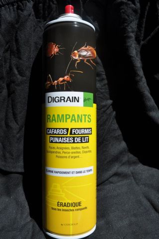 Insecticide arosol pour insectes rampants 600ml